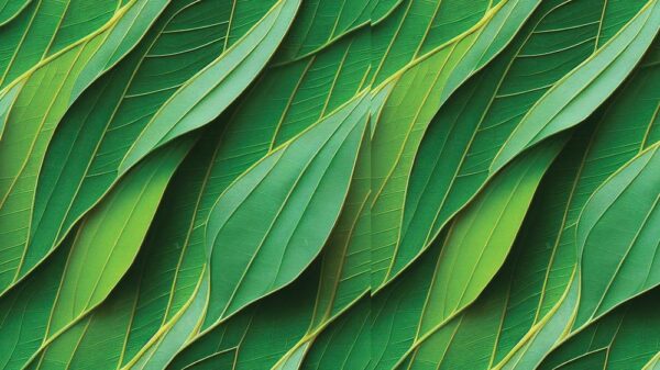 Leaves 015