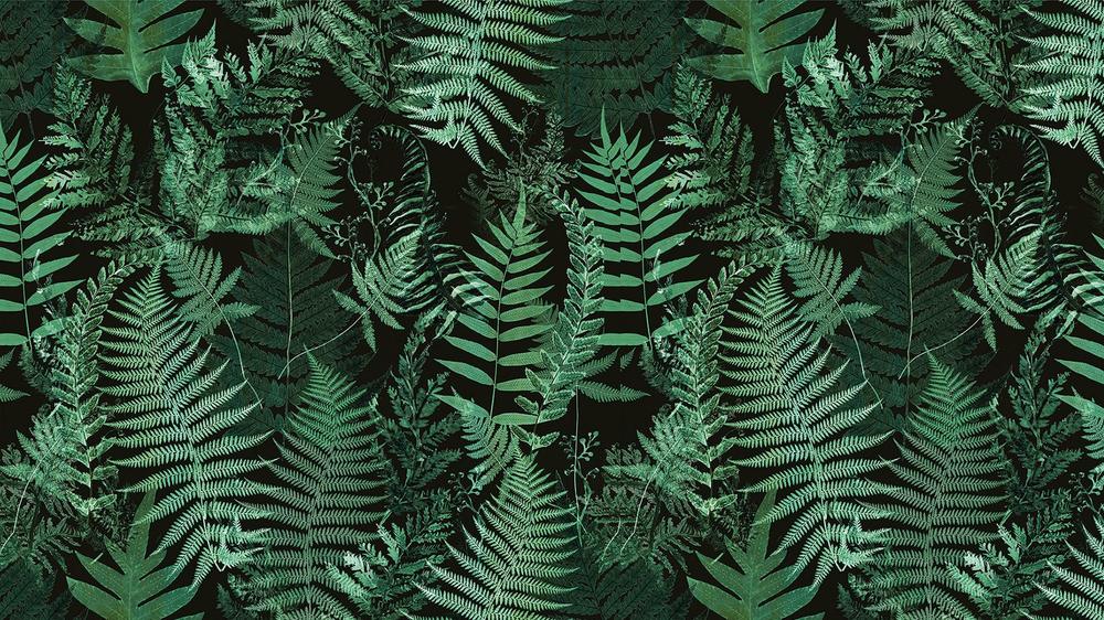 Leaves 017