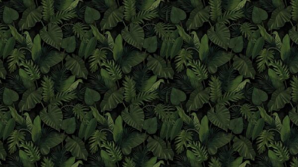 Leaves 019