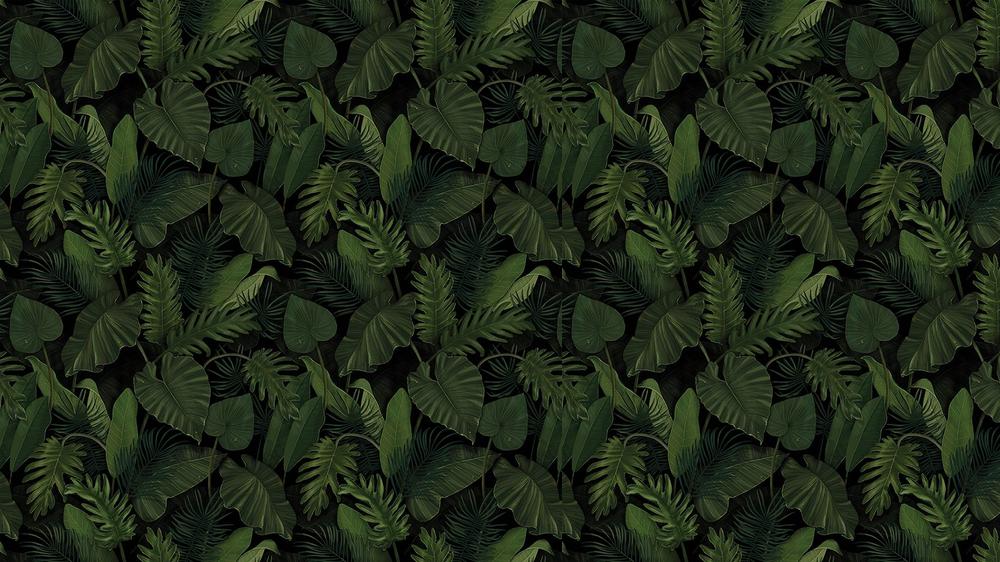Leaves 019