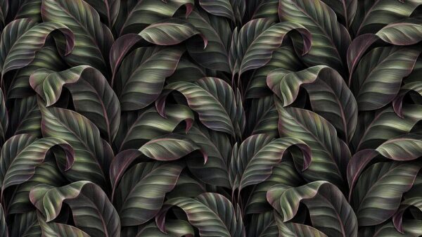 Leaves 025