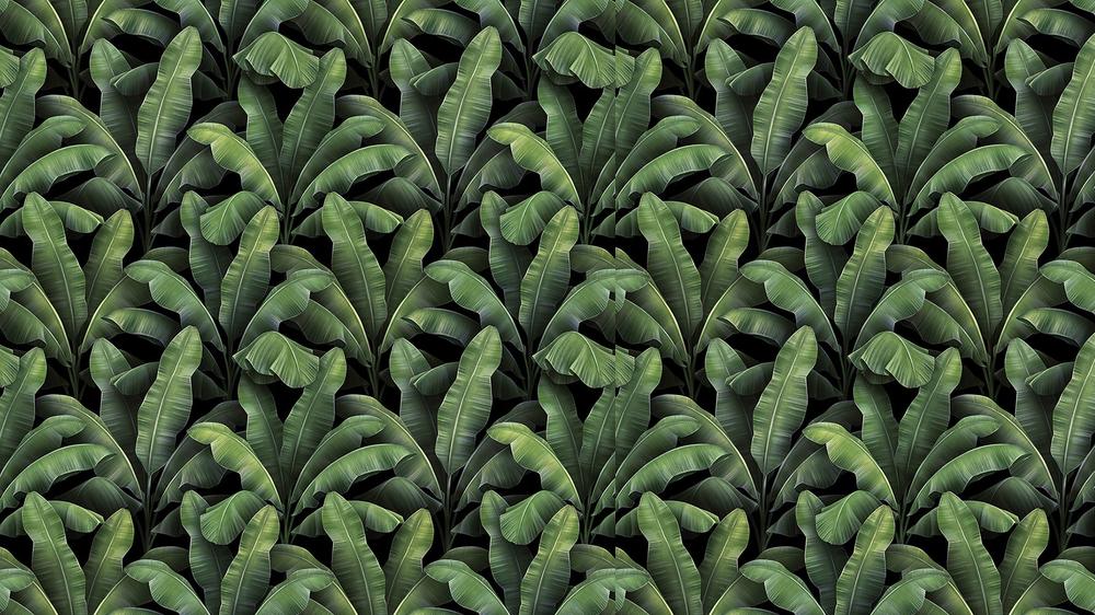 Leaves 027