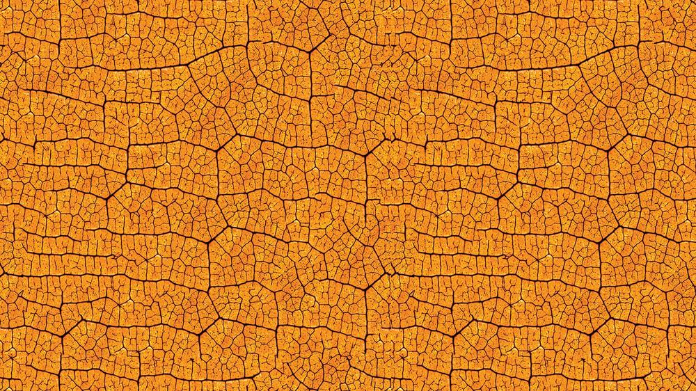 Leaves 040