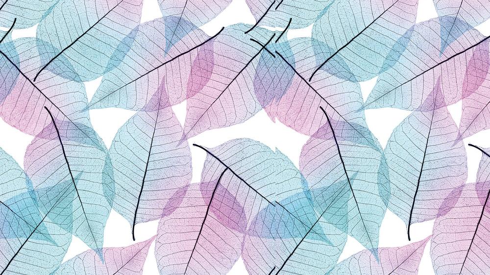 Leaves 050