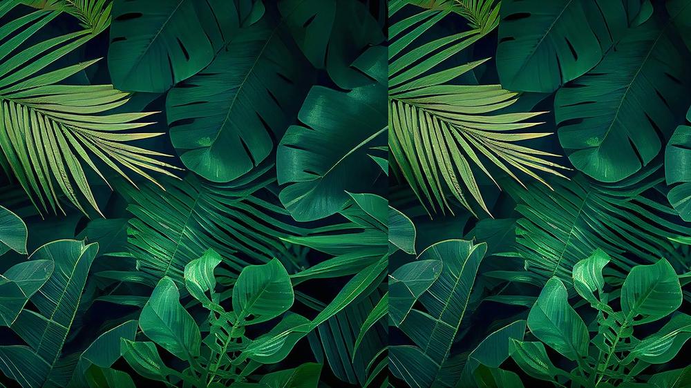 Leaves 053