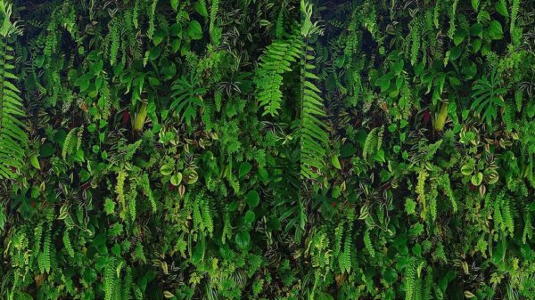 Leaves 061