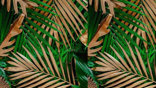 Leaves 077