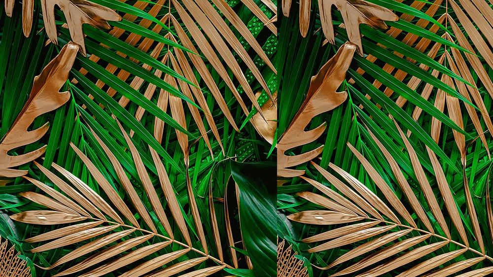 Leaves 077