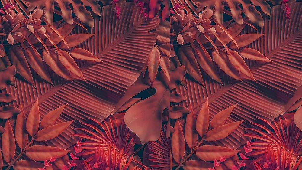Leaves 088