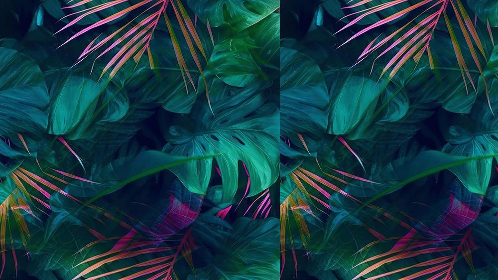 Leaves 089