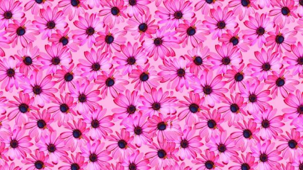 Floral 011