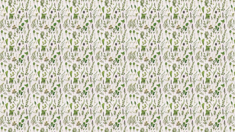 Floral 127