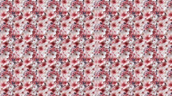 Floral 132