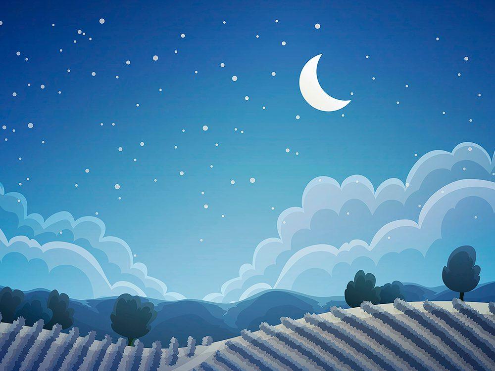 Nursery Panel 015
