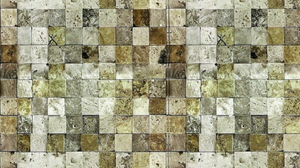 Stone 049