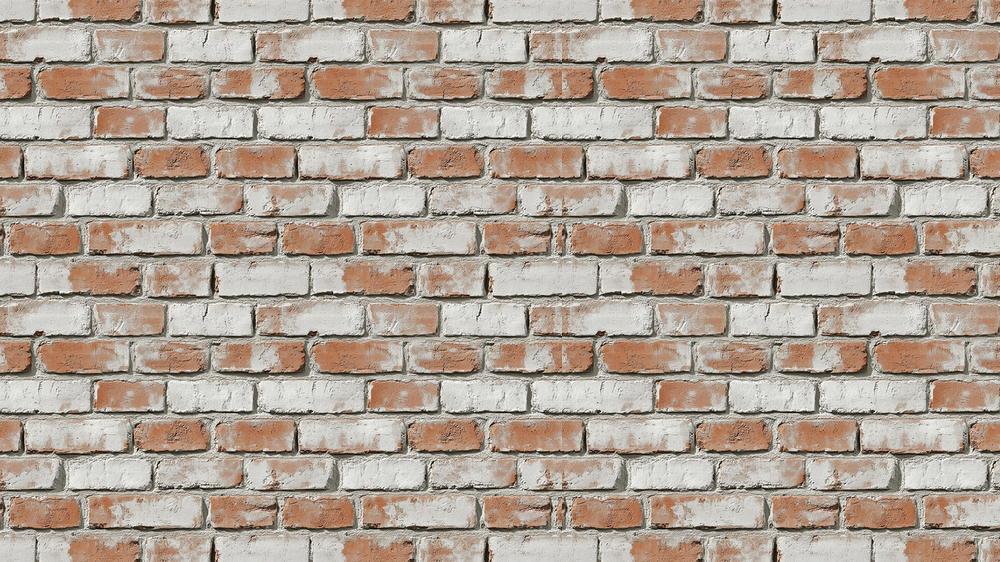 Brick 004