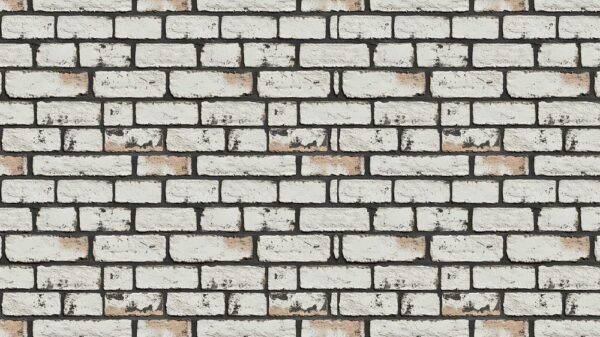 Brick 009
