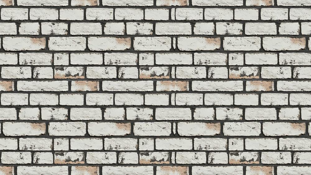 Brick 009