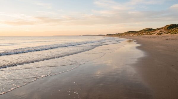 Golden Hour Shoreline