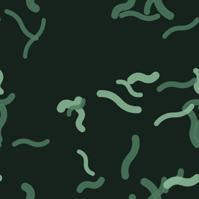 Brush Mark — Forest