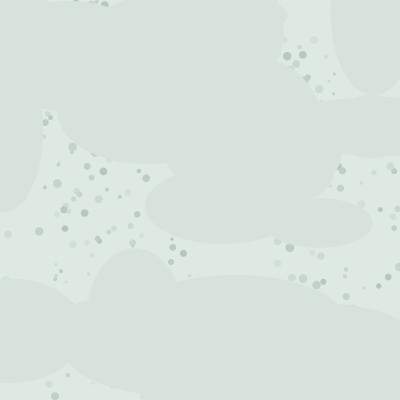 Concrete — Eucalyptus