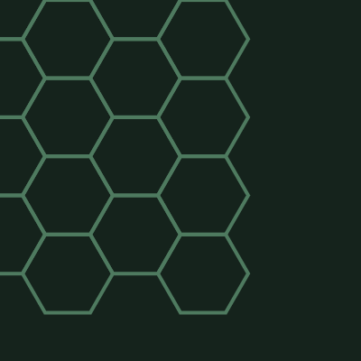 Hex Mesh — Forest