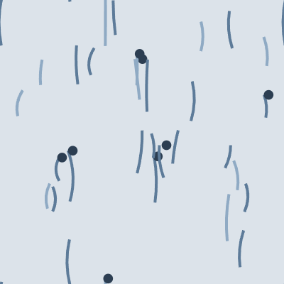 Meadow — Denim