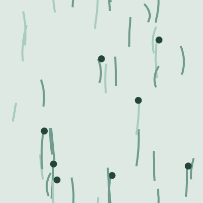 Meadow — Eucalyptus