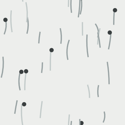 Meadow — Fog