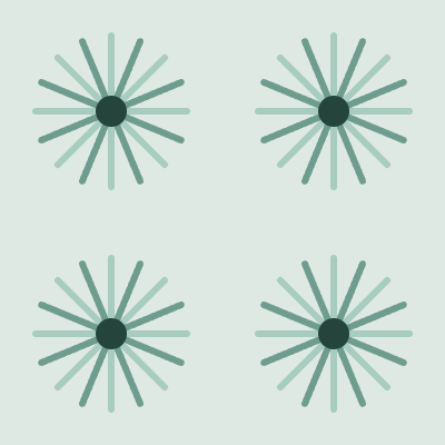 Sunburst — Eucalyptus